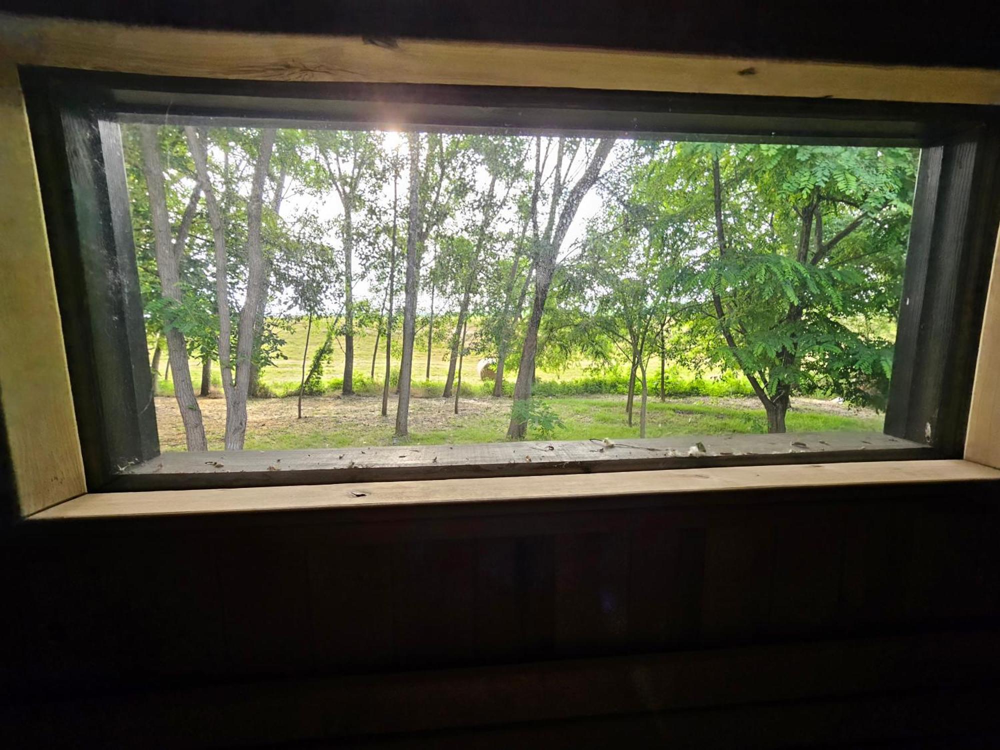 Meszes Apartman Kalocsa Kamer foto